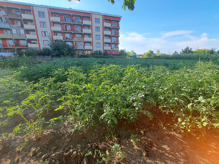 Продам огород на микрорайоне 13 соток
