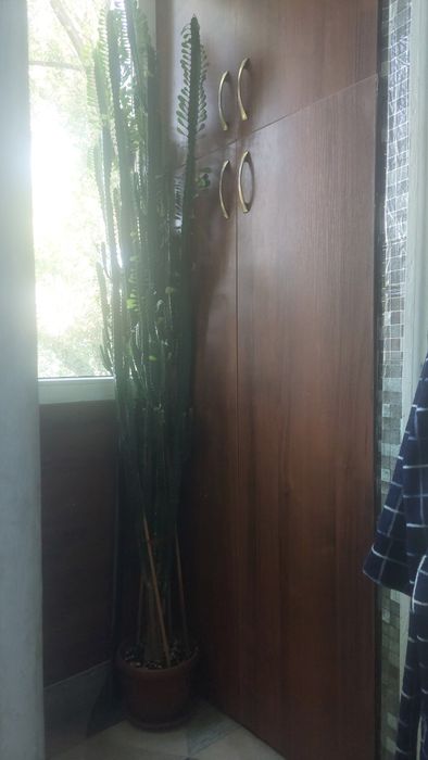 Продам цветы срочно не дорого