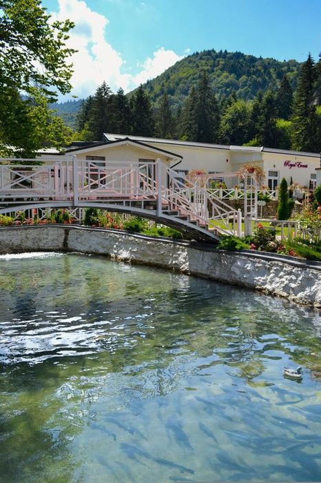 PASTRAV Curcubeu  brevet produs montan