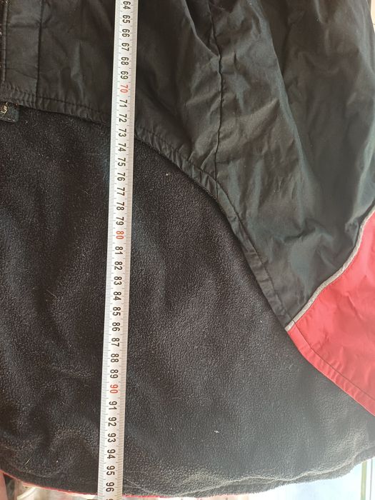 Яке за куче запазено