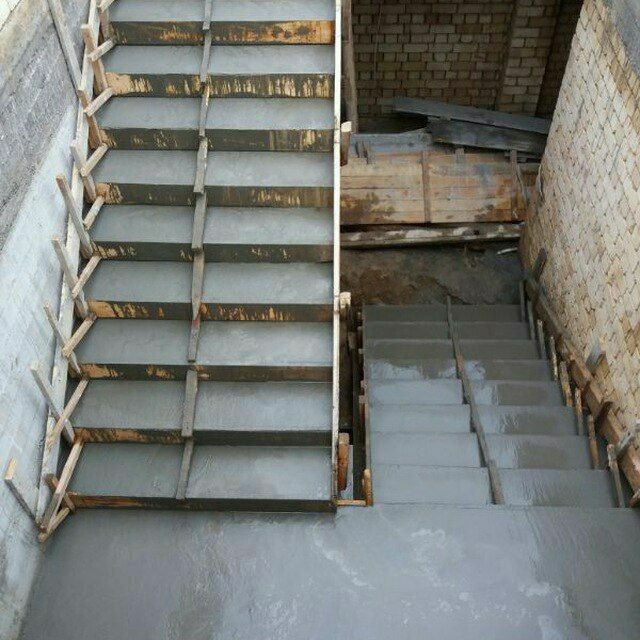 Zinachi lesnitsa zina