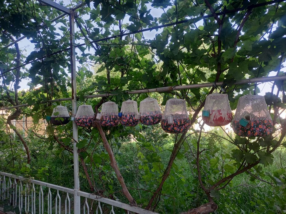 Kadidan yasalgan bedana qafaslari sotiladi