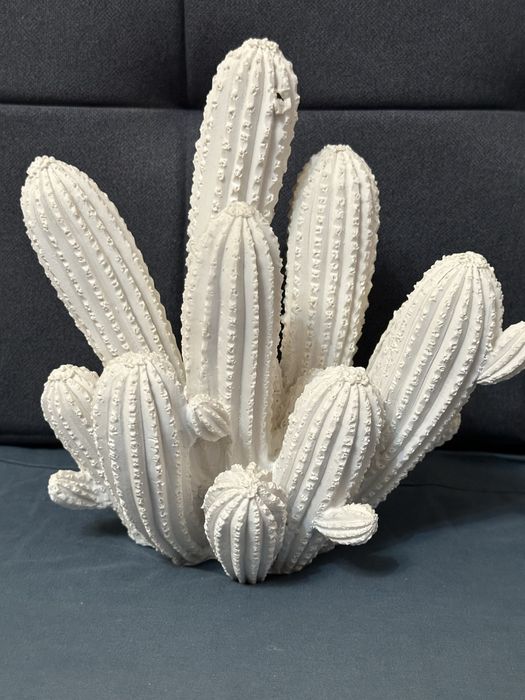 Декоративные кактусы для интерьера Zara Home.