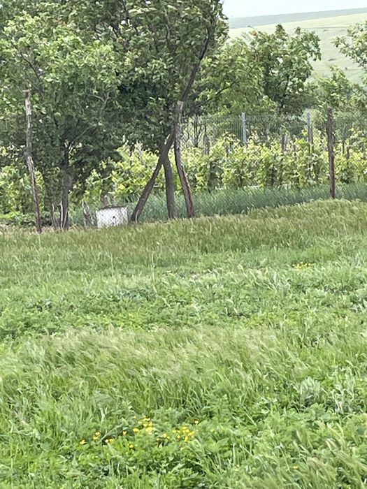 De vanzare teren intravilan