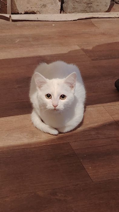 Девочка очень игривая