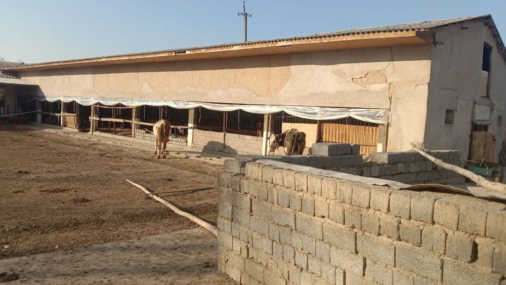 Uchastka, ferma sotiladi