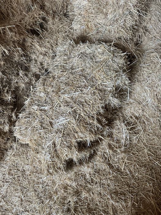 сабан прес 1500 доставка тегын