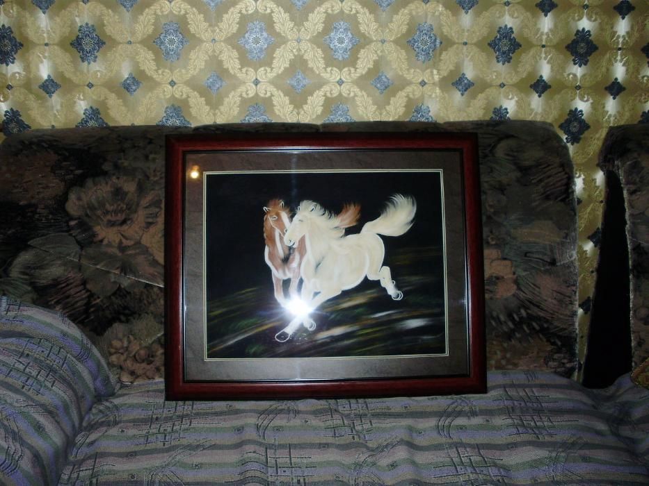 Картина 60×50.  Под стеклом. Из перьев.