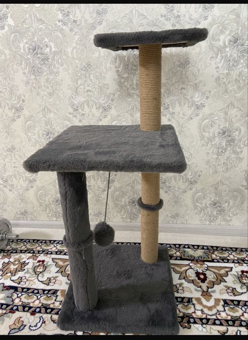 Когтиточка в отличном состоянии