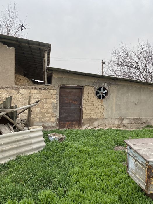 Продается дача, чистый воздух