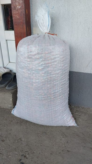 Măceșe proaspăt culese calitate superioară!
Vând măceșe strânse manu