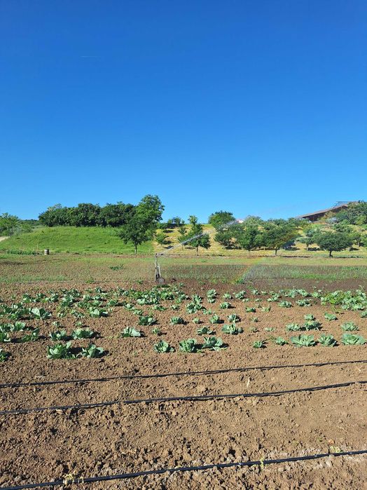 Tambur de irigat Forras