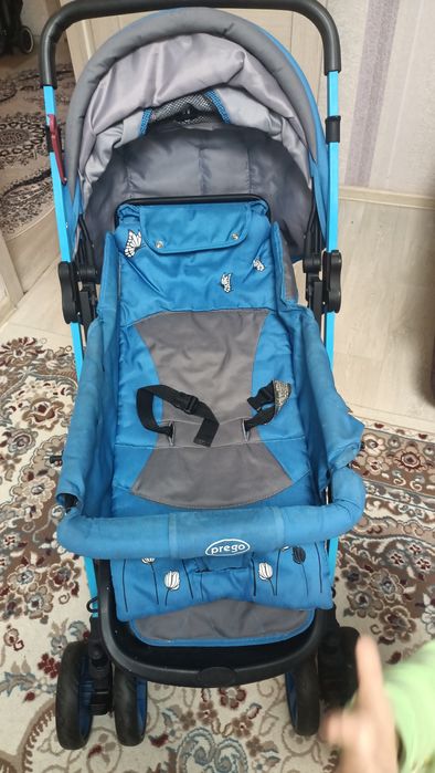 Коляска зима-лето