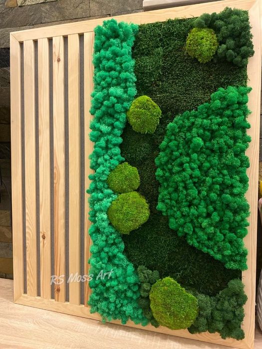 Vând tablouri cu licheni