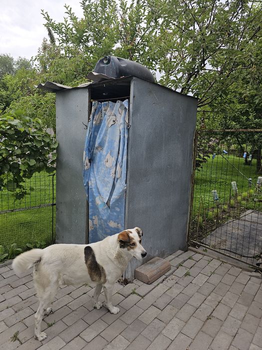 Продам капитальный, кирпичный дом в городе