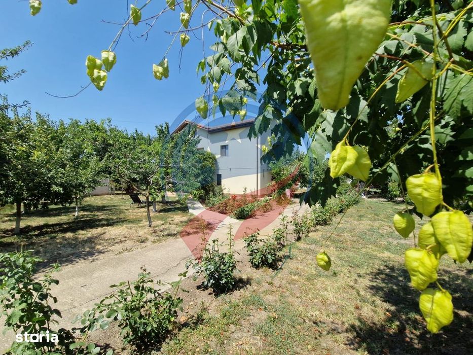 CASA P +E  5 camere -Cosoveni
