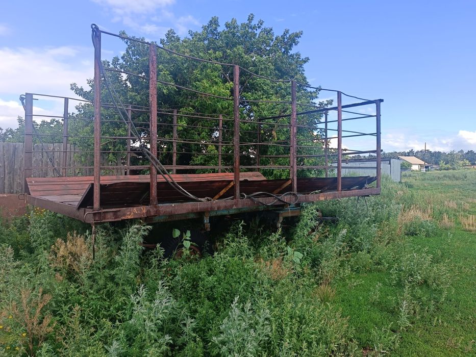 Продам трактор мтз-50 с куном