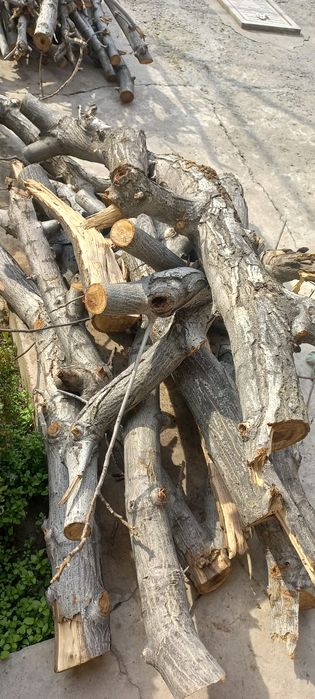 O'tin/  дрова     т