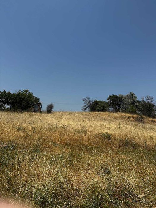 Земля в дачном поселке