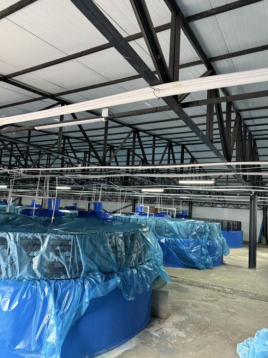 Продажа/Долгосрочная аренда рыбхоза с УЗВ и полной инфоструктурой