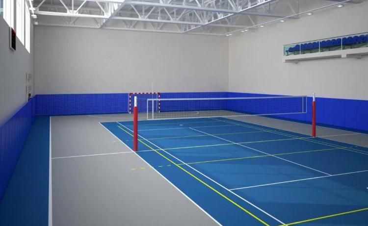 Спортивный ленолеум