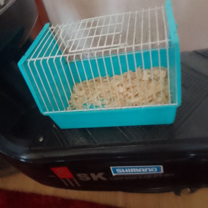 продам переноску для хомяков