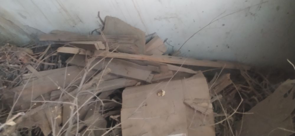 Oʻtin sotiladi 1 labo