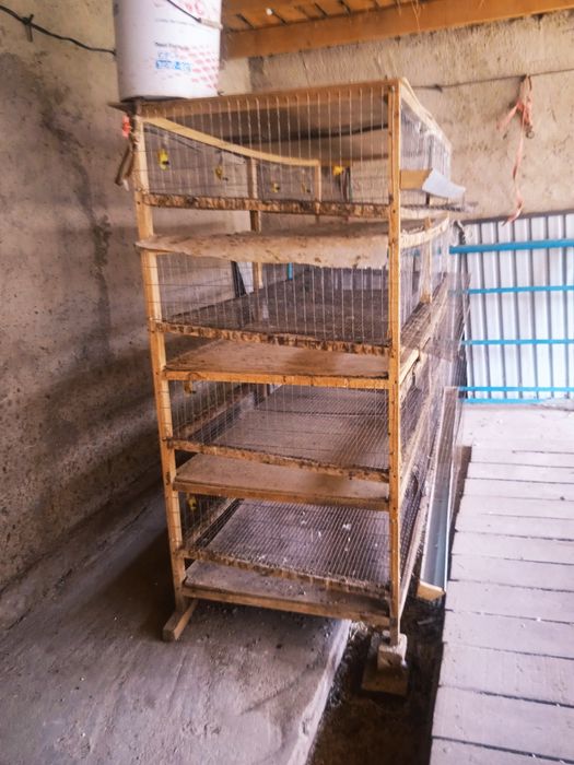 Клетка для перепел срочно продается по скидке