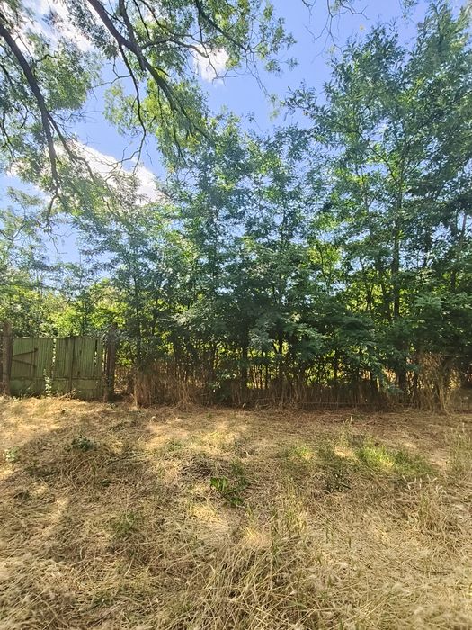 **Vând teren intravilan – 2.500 mp – Roșiori de Vede, Teleorman**