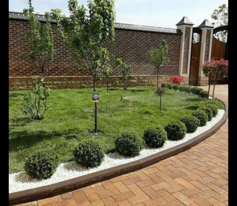 Газон рулоный и посевной