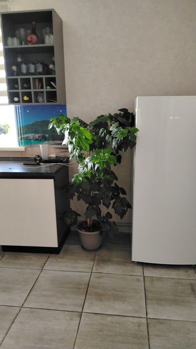 Продам морозилку