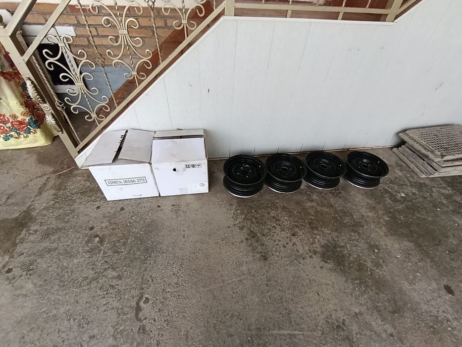 Diska euro 13 lik damas tikoga