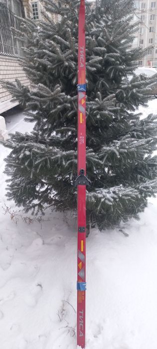 Лыжи Тисса  пластик