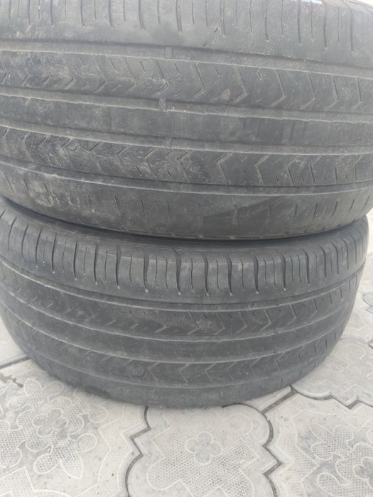 255 55 р18 летние