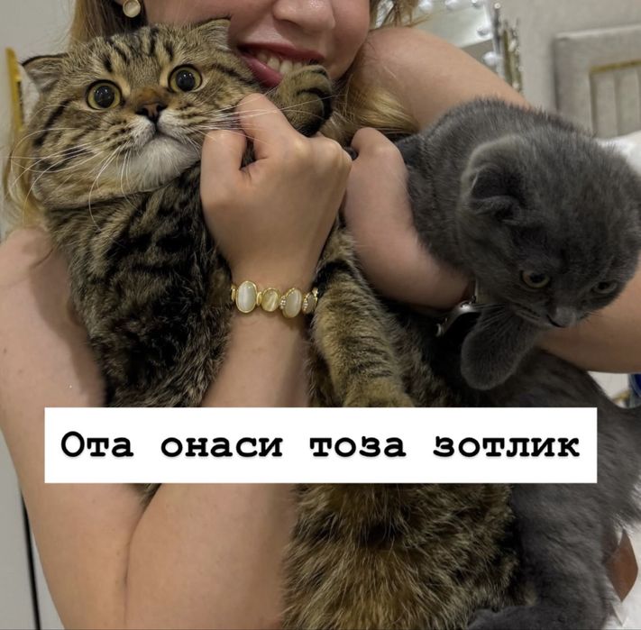 яхши бокадиганла олсин, узимни жиянларим кийнагани учун сотвоман.