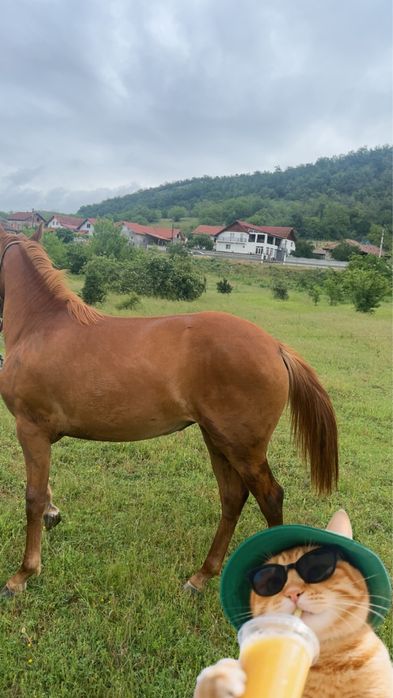 Cârlana de 1 an si 2 luni