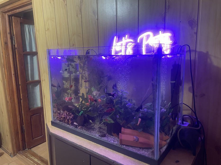Acvariu 65 Litri cu pesti si echipat