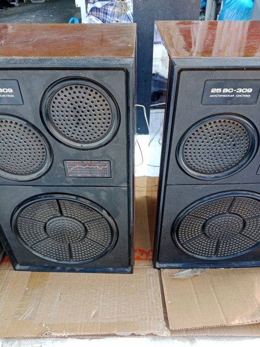 Колонки Вега 25ас309