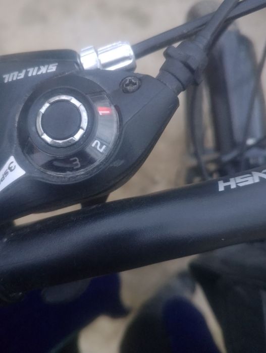 Velik tinchlik yangi