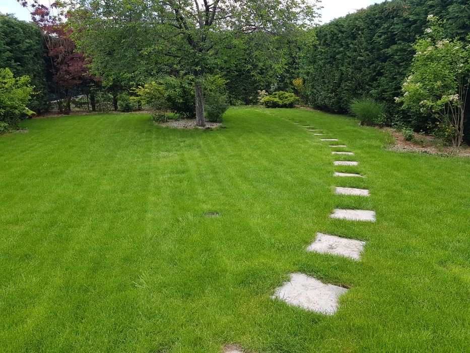 Scarificator aerator profesional