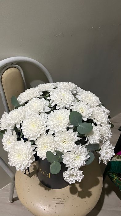 Продам цветы свежие