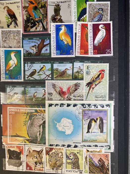 Альбом  Колекция-Марки