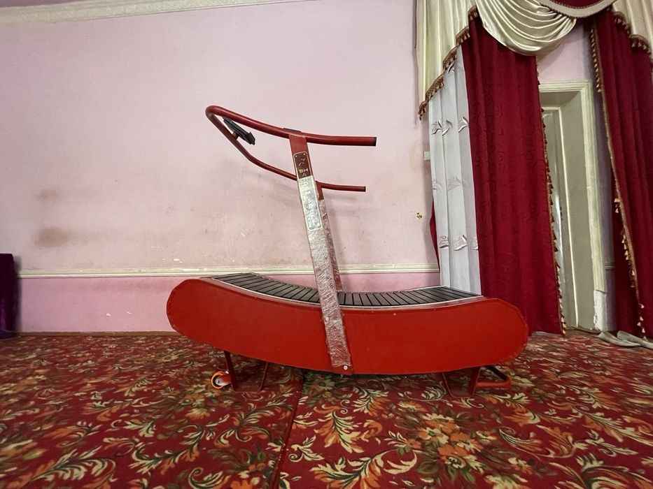 To'ksiz begavoy darojka