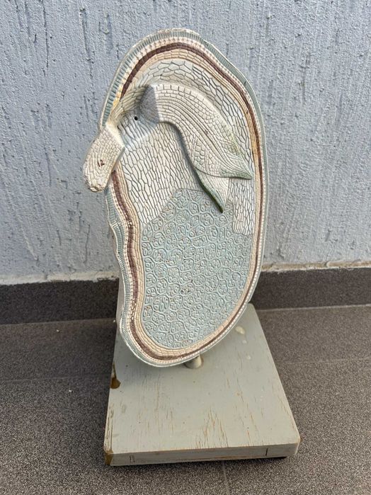 Соц Учебни Модели Макети