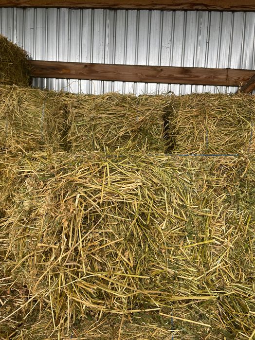 Baloți și lucernă de vânzare !