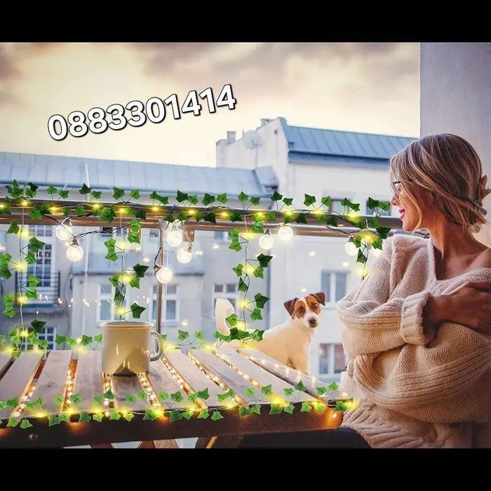 Соларен LED гирлянд Бръшлян 10 метра