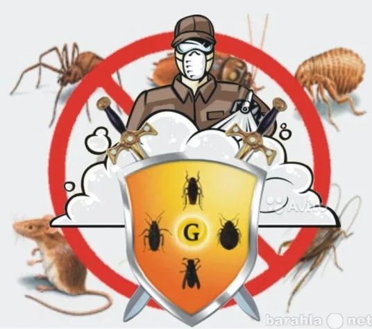 Dezinfeksiya xizmati barcha turdagi xashiratlarga qarshi.