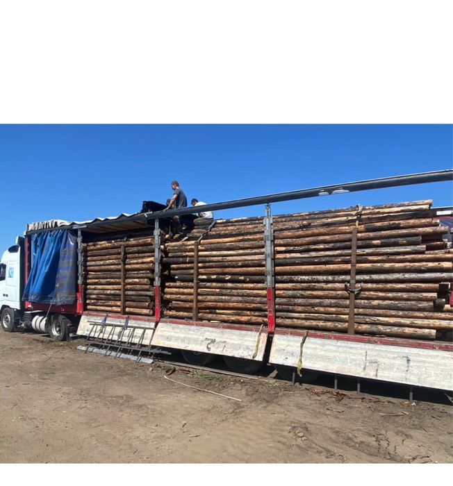 Доска  дрова город Косшы Астана