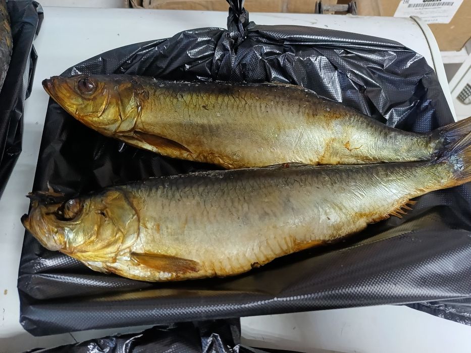 Скумбрия х/к 4900