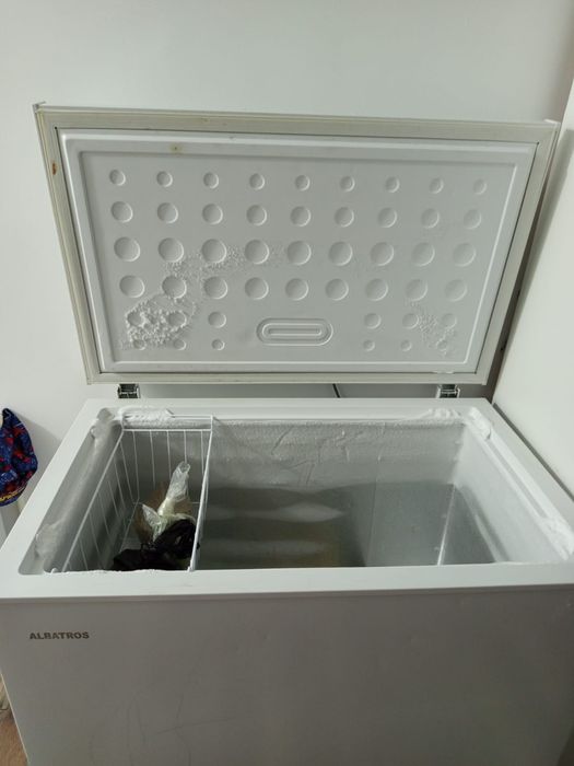 congelator albatros
